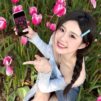 山海情