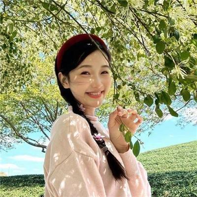 速度与激情